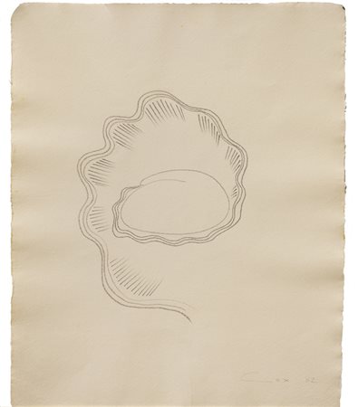 STEPHEN COX (1946)Senza Titolo, 1982Matita su cartacm 39x31,5Firma e...