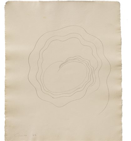 STEPHEN COX (1946)Senza Titolo, 1982Matita su cartacm 39x31,5Firma e...