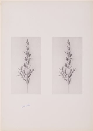 UBALDO BARTOLINI (1944)Senza TitoloCartella contenente 4 opere grafichecm...