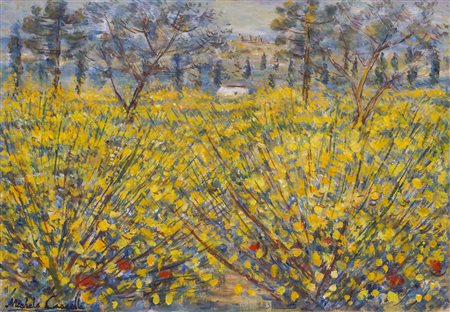 MICHELE CASCELLA (1892-1989)Campo di ginestre, 1975 circaOlio su telacm...
