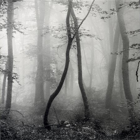 MARCO ANELLI (1968) Senza titolo 2002 Stampa fotografica in bianco e nero...