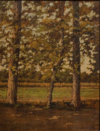 MONTEZEMOLO GUIDO Mondovì (CN) 1878 - 1941 Torino "Tra le fronde" 40x30 olio...