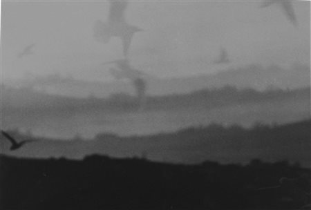 MARIO GIACOMELLI Senigallia 1925 – 2000 fotografia in bianco e nero cm...