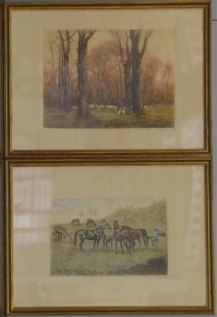 Firma indecifrata "Cavalli" e "Gregge" coppia di acqueforti (cm 25x33)...