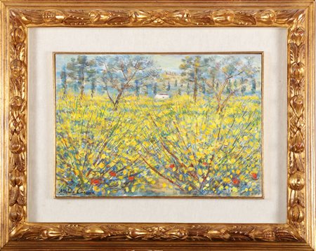 CASCELLA MICHELE (1892 - 1989) Campo di ginestre. Olio su tela . Cm 50,00 x...