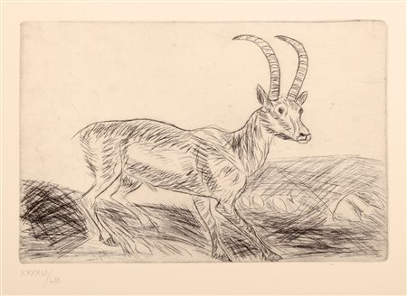 LIGABUE ANTONIO (1899 - 1965) Senza titolo. Acquaforte. Cm 70,00 x 50,00....