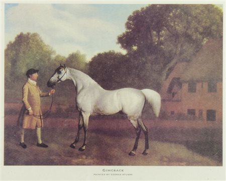 Lotto di 5 opere varietra cui stampe raffiguranti cavalli.