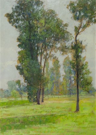 Giuseppe Sacheri 1863-1950 "Studio di olmi" cm. 43x31 - olio su cartone...