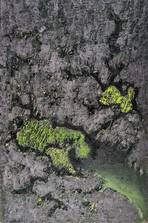 CARLO MATTIOLI 1911 - 1994 Aigves Mortes Olio su tela, cm. 88 x 62 Firmato...