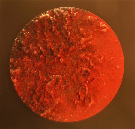 Paola Romano Luna Rossa d 50 tecnica mista su mdf autentica dell'artista su foto