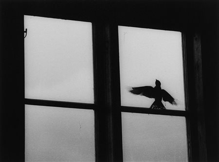 Kenneth Gustavsson (1946 - 2009)The Magic Bar 1964-1967Stampa fotografica...