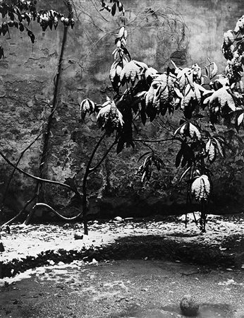 Paolo Monti (1908 - 1982)Cortile 1950 ca.Stampa fotografica vintage alla...
