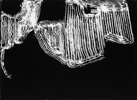 Mario Giacomelli (Senigallia 1925 - Senigallia 2000)Presa di coscienza sulla...