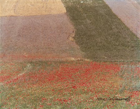 Mario Giacomelli (Senigallia 1925 - Senigallia 2000)La natura in festa 1970...