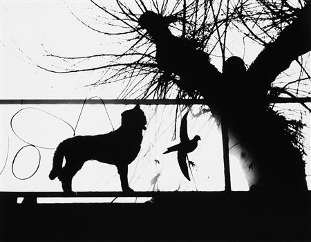 Mario Giacomelli (Senigallia 1925 - Senigallia 2000)Per poesie 1970 -...