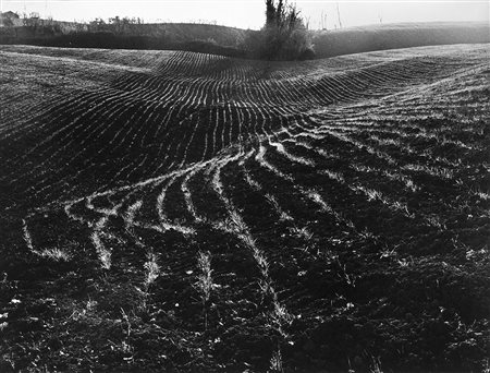 Mario Giacomelli (Senigallia 1925 - Senigallia 2000)Paesaggio 1980 ca.Stampa...