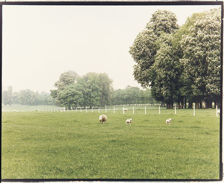 Luigi Ghirri (1943 - 1992)Versailles 1985Stampa fotografica a colori...