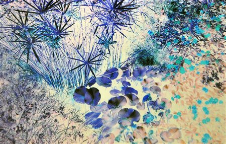 CARLO CANTINI, Senza titolo, 2006, Stampa fotografica a colori su Forex, cm....