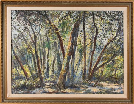 Michele Cascella (1892 - 1989), “Foresta nelle Montagne di Santa Cruz”, prima...
