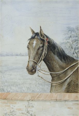 Pittore del '900 Lotto di 2 acquerelli su carta raffiguranti teste di avalli,...