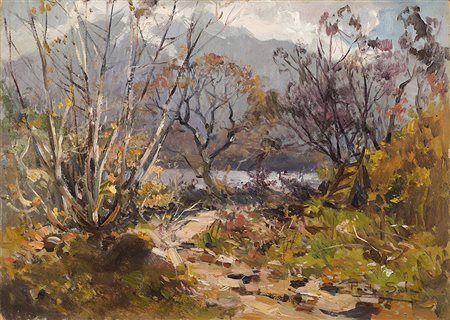 Paolo Sala (Milano 1859 - 1924)"Scorcio del Lago di Mergozzo"olio su cartone...