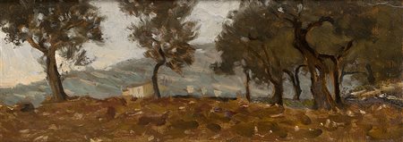 Ruggero Focardi (Firenze 1864 - Quercianella 1934)"Uliveto" olio su cartone...