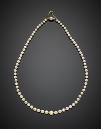 Collana a scalare di perle coltivate bianco/crema e chiusura in oro giallo, g...