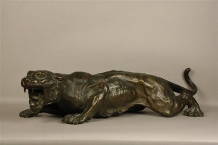Firmato. Scultura in bronzo raff. ''TIGRE''. Siglata P.C. sulla coda. Anni...