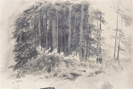 Hugo Grimm Wald in Hötting/Innsbruck, 1899;Schwarze Kreide, 18,5 x 28,2 cm...