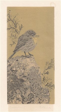 Franz Helmer Spatz auf Felsen;Farbholzschnitt, 17,6 x 8,7 cm (Bildfeld)...
