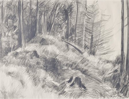 Franz Fischnaller Wald, 1982;Schwarze Kreide, 38 x 48 cm, gerahmt Signiert u....