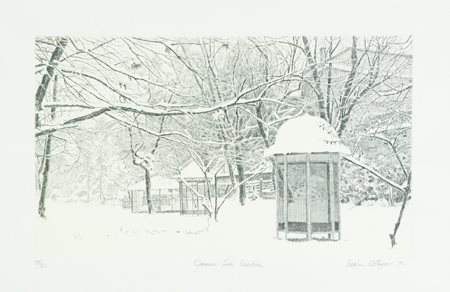 Teodoro Cotugno Desio (Mi) 1943 Gennaio: Isola Carolina, 1982 Acquaforte di...