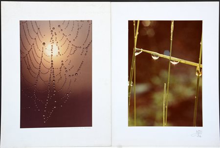 MARIO DE BIASI (1923 - 2013)Astrazioni con rugiada n.2 1980ca.Due fotografie...