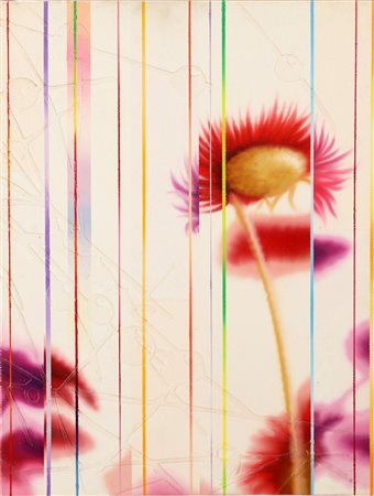 VESCOVI DANY (n. 1969) Senza titolo. 2008. Olio su tela . Cm 30,00 x 40,00....