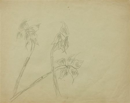 CHICCO RICCARDO Torino 1910 - 1973 "Fiori" 21x26,5 matita su carta