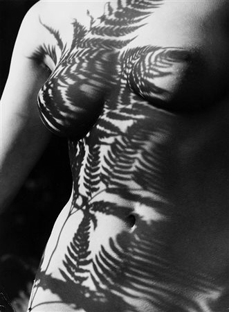 Romualda Rakauskas (1941) Fern shadow, anni 1980 Stampa vintage alla gelatina...