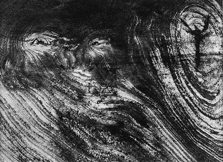 Mario Giacomelli (1925 - 2000) Motivo suggerito dal taglio dell' albero, anni...