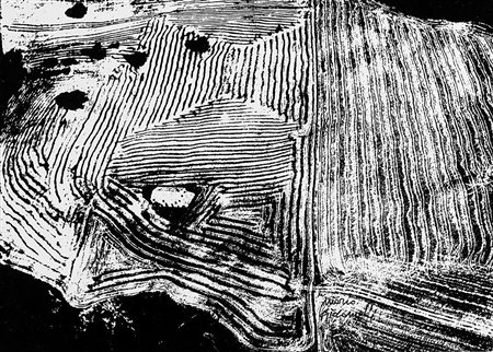 Mario Giacomelli (1925 - 2000) Presa di coscienza sulla natura, 1975/1985...