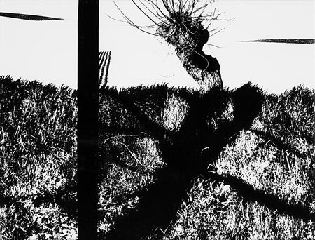 Mario Giacomelli (1925 - 2000) Le mie Marche, 1983 Stampa vintage alla...