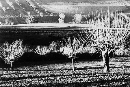 Mario Giacomelli (1925 - 2000) Paesaggio, 1980 Stampa industriale a colori da...