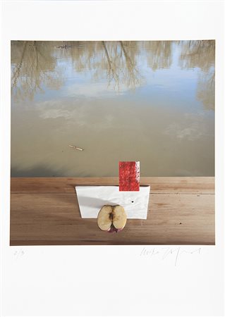 Miro Zagnoli (XX-XXI sec.) Composizione_38 (Mela, tavolo, assorbente, acqua),...