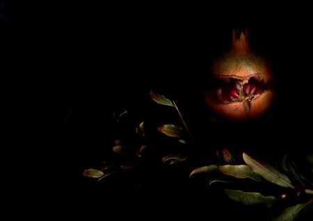 Raffaella Benetti (XX-XXI sec.) Melograno, dal progetto 'Vanitas', 2015...