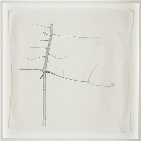 Simone Casetta (XX-XXI sec.) La danseuse, dalla serie 'Alberi, nature', 1990...