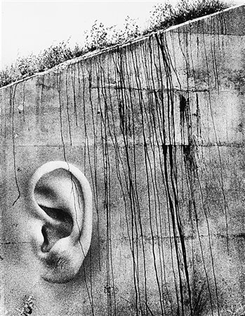 Joan Fontcuberta (1955) Why don't you say it?, 1974 Stampa vintage alla...