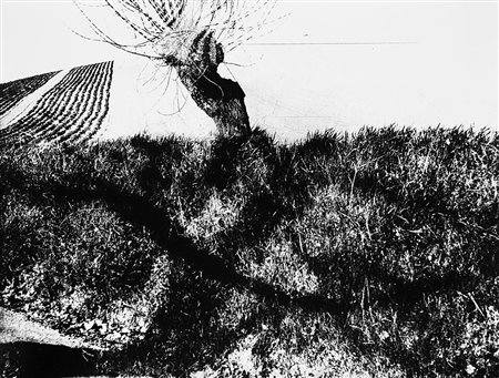 Mario Giacomelli (1925 - 2000) Paesaggio, anni 1980 Stampa vintage alla...