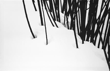 Abbas Kiarostami (1940 - 2016) Snow White, anni 1970 Stampa digitale su tela,...