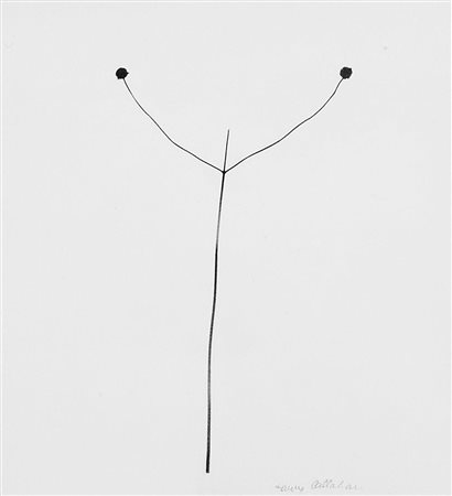 Harry Callahan (1912 - 1999) Weed against sky, Detroit, 1948 Stampa...