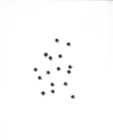 Alberto De Braud MOUCHES bronzo su pannello, cm 65x55x3 eseguito nel 2013...