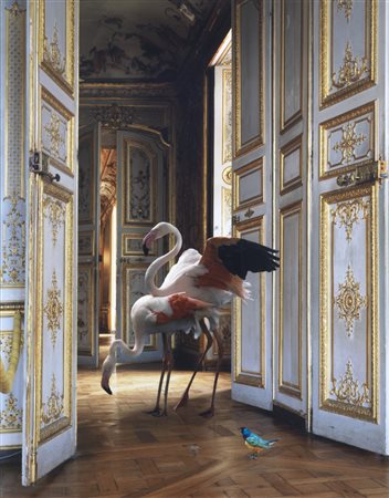 Karen Knoor FABLES stampa lambda, cm 90x70 eseguito nel 2006 edizione 2 di 5...