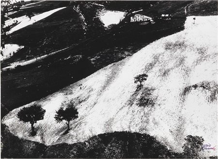 Mario Giacomelli Senigallia (An) 1925 - 2000 Storie della terra Stampa alla...